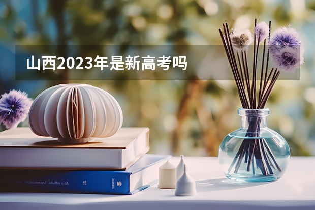 山西2023年是新高考吗