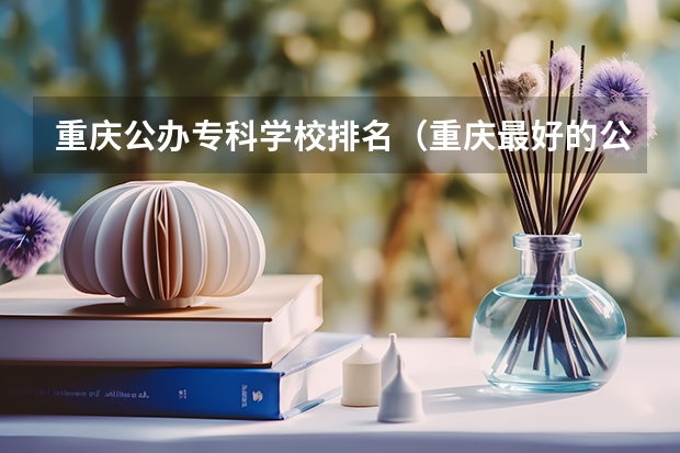 重庆公办专科学校排名（重庆最好的公办专科）