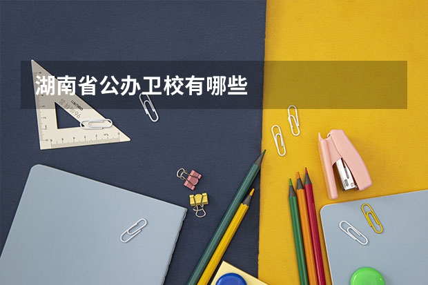 湖南省公办卫校有哪些