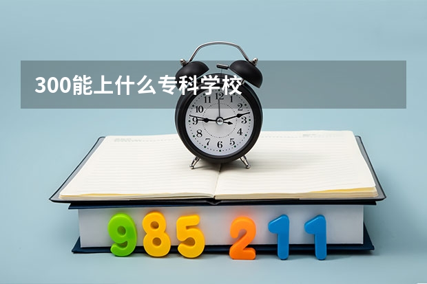 300能上什么专科学校