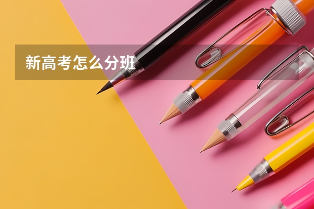 新高考怎么分班