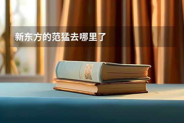 新东方的范猛去哪里了