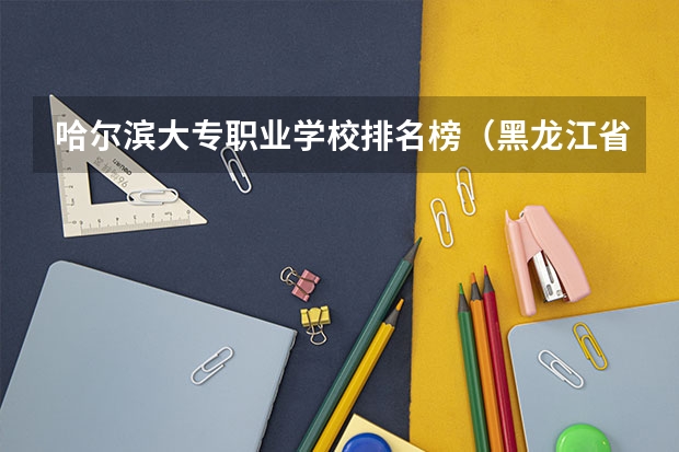 哈尔滨大专职业学校排名榜（黑龙江省专科学校排名）