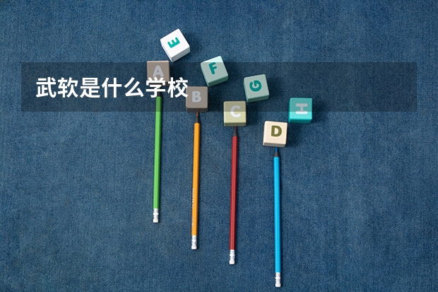 武软是什么学校