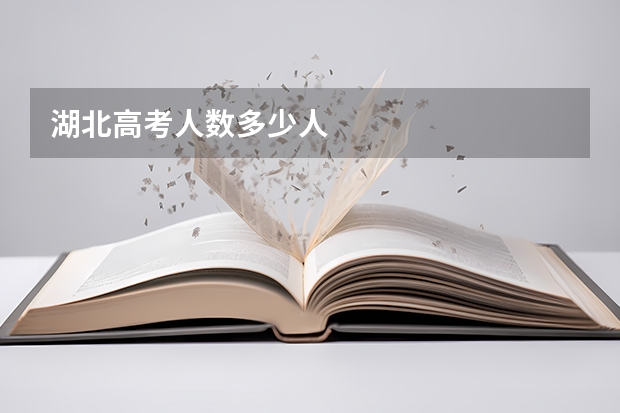 湖北高考人数多少人