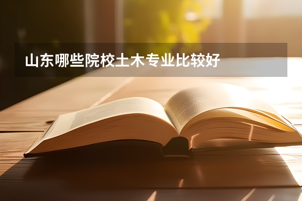 山东哪些院校土木专业比较好