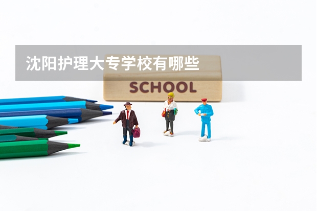 沈阳护理大专学校有哪些