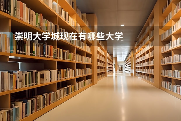 崇明大学城现在有哪些大学