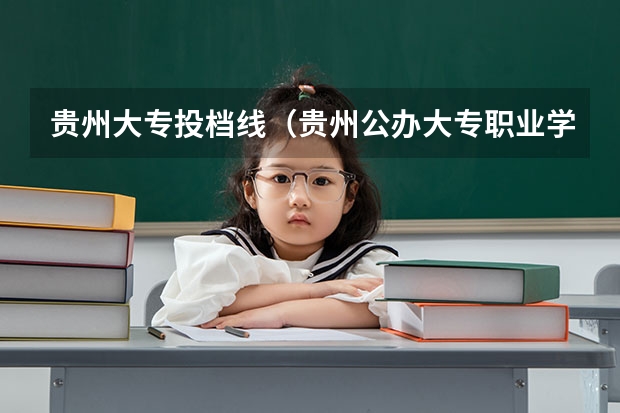 贵州大专投档线（贵州公办大专职业学校排名）