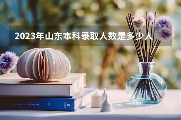 2023年山东本科录取人数是多少人？