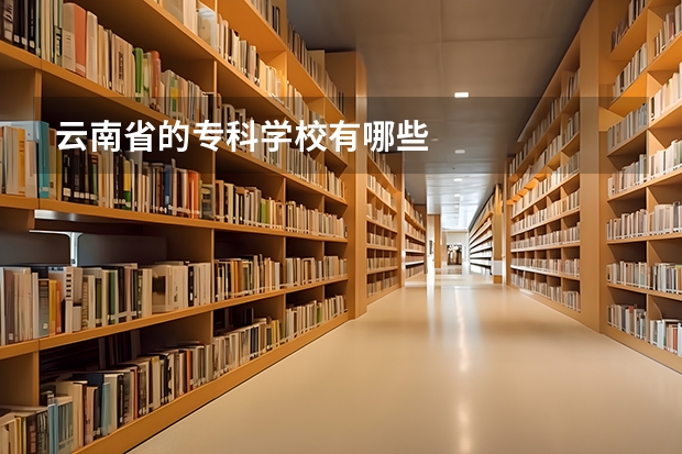 云南省的专科学校有哪些