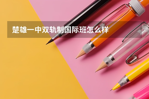 楚雄一中双轨制国际班怎么样