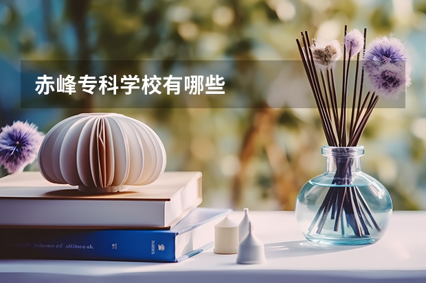 赤峰专科学校有哪些