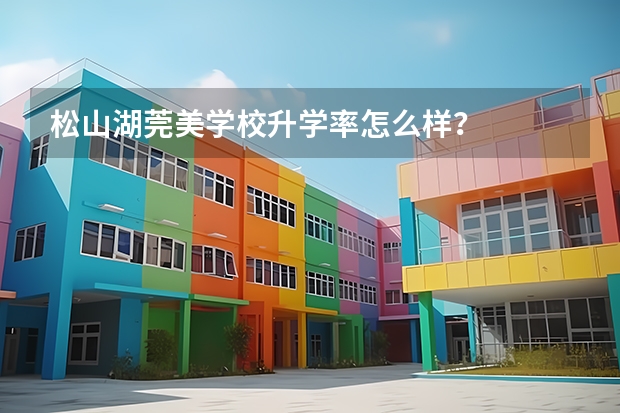 松山湖莞美学校升学率怎么样？