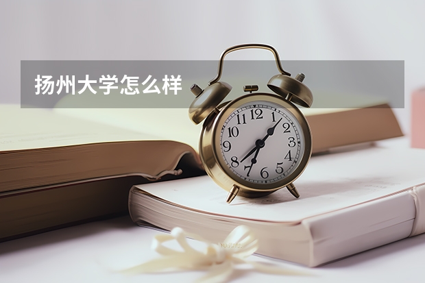 扬州大学怎么样