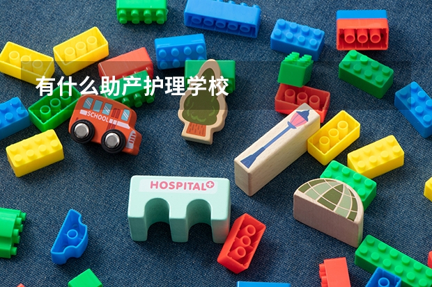 有什么助产护理学校