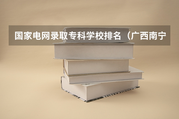 国家电网录取专科学校排名（广西南宁职校排名前十名学校）