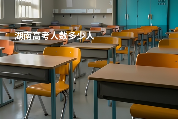 湖南高考人数多少人