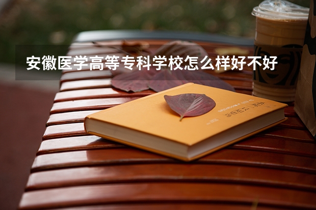 安徽医学高等专科学校怎么样好不好