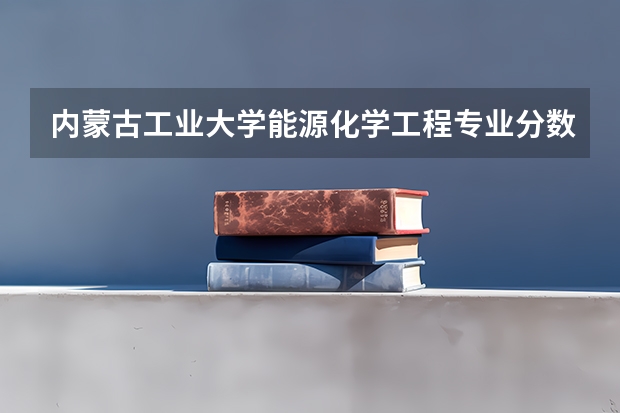 内蒙古工业大学能源化学工程专业分数线是多少(历年分数线汇总)