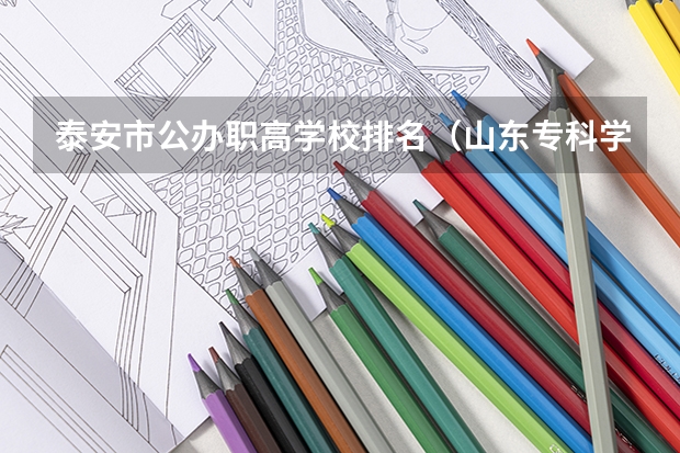 泰安市公办职高学校排名(山东专科学校排名公办)
