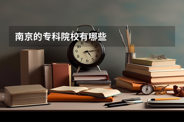 南京的专科院校有哪些