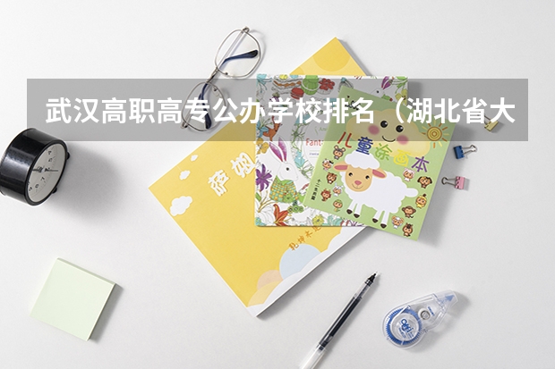 武汉高职高专公办学校排名（湖北省大专院校排名）
