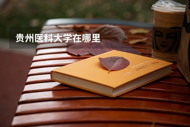 贵州医科大学在哪里
