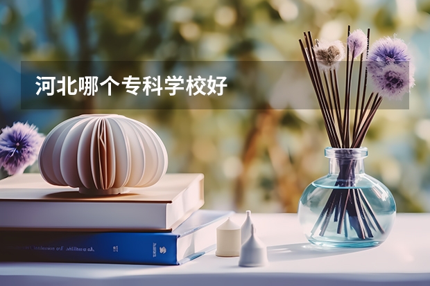 河北哪个专科学校好