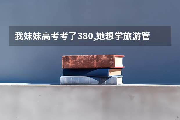 我妹妹高考考了380,她想学旅游管理,有谁知道哪个学校招专科并且有这个专业呀?学费低点最好了~