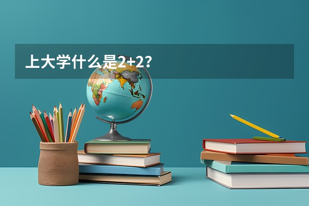 上大学什么是2+2？