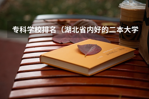 专科学校排名(湖北省内好的二本大学排名)