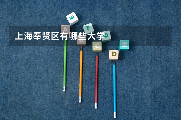 上海奉贤区有哪些大学