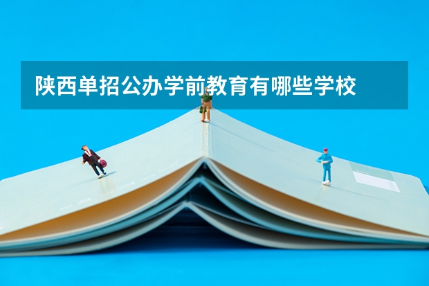 陕西单招公办学前教育有哪些学校