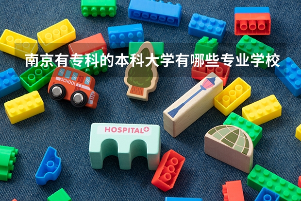 南京有专科的本科大学有哪些专业学校？