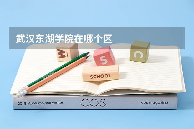 武汉东湖学院在哪个区