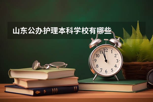 山东公办护理本科学校有哪些