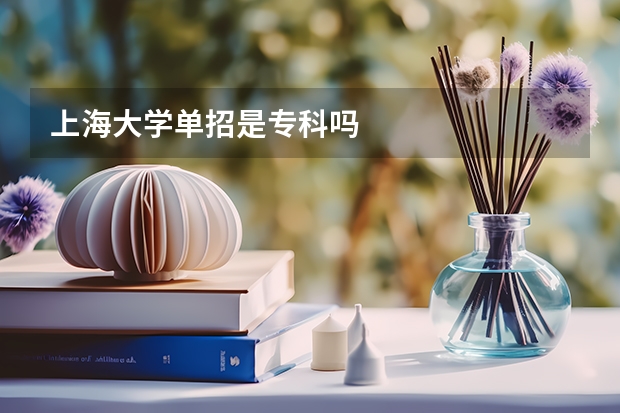 上海大学单招是专科吗