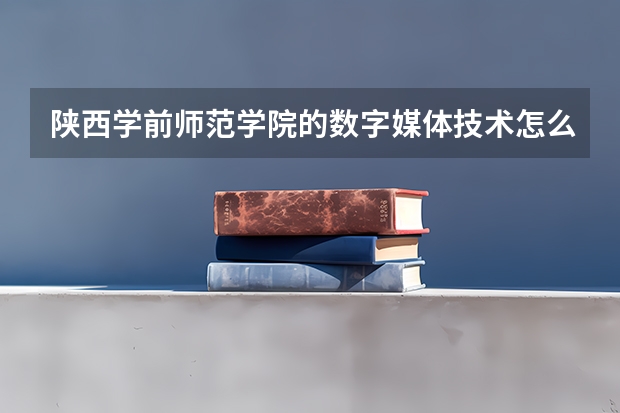 陕西学前师范学院的数字媒体技术怎么样