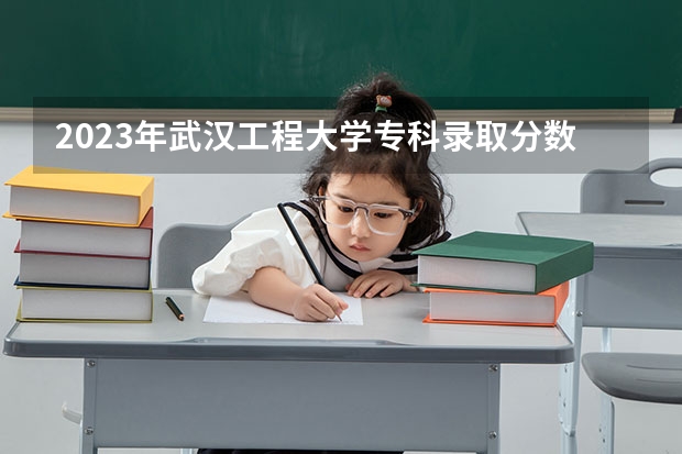 2023年武汉工程大学专科录取分数线是多少？