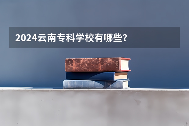 2024云南专科学校有哪些？
