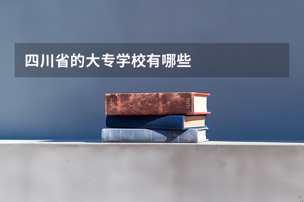 四川省的大专学校有哪些