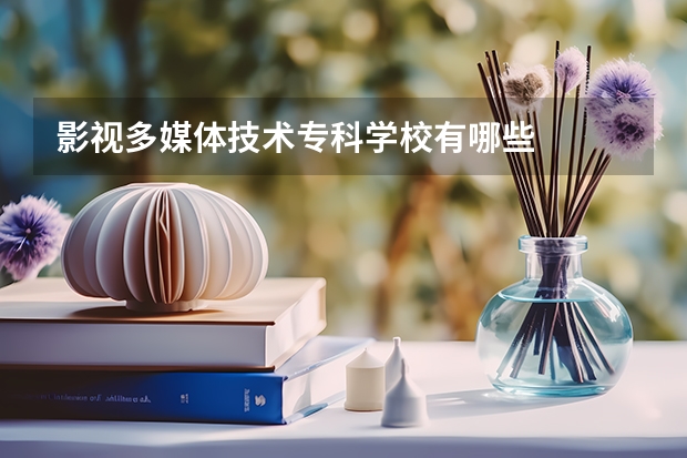 影视多媒体技术专科学校有哪些