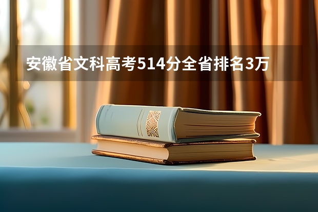 安徽省文科高考514分全省排名3万8千8百名填什么学校可以走？