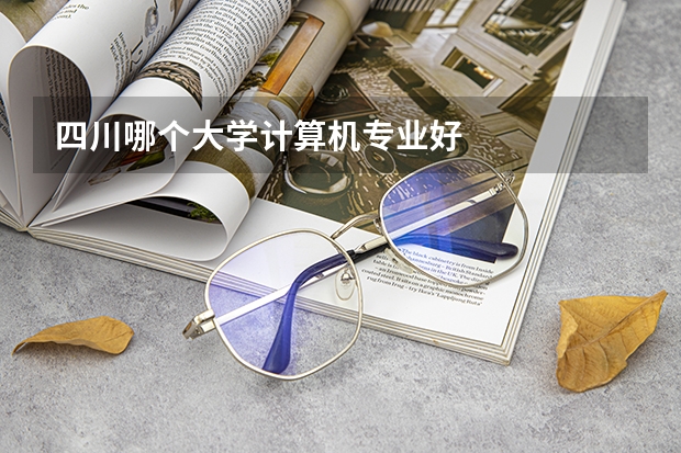 四川哪个大学计算机专业好