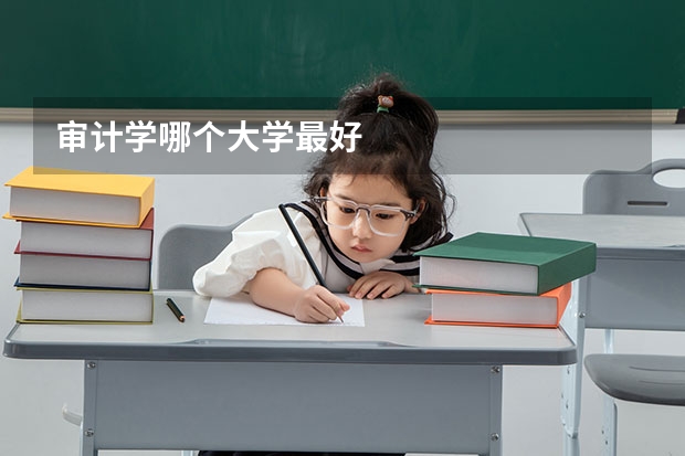 审计学哪个大学最好