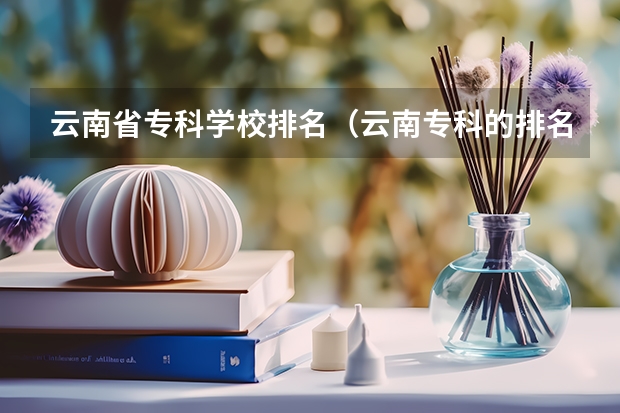 云南省专科学校排名（云南专科的排名）