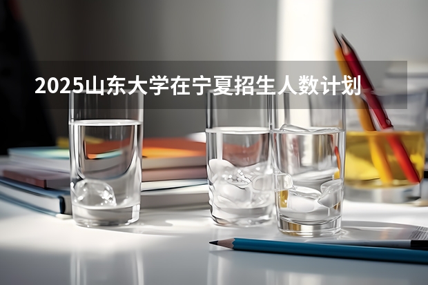 2025山东大学在宁夏招生人数计划预测