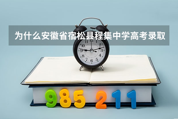 为什么安徽省宿松县程集中学高考录取结果查询不到?