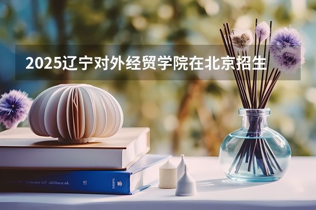 2025辽宁对外经贸学院在北京招生人数计划预测